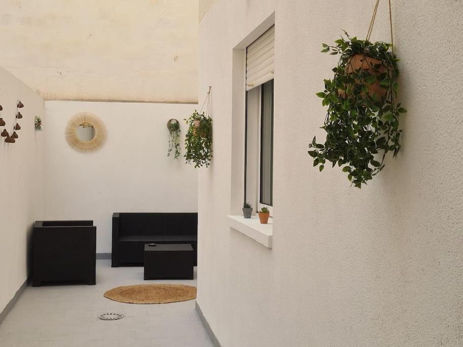 Beautiful Apartment With Patio 托雷维耶哈 外观 照片
