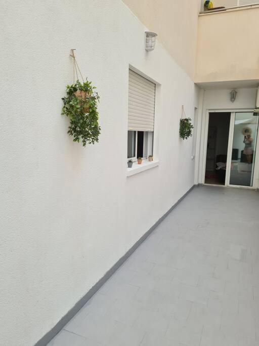 Beautiful Apartment With Patio 托雷维耶哈 外观 照片
